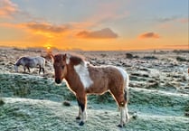 Dartmoor temperatures plummet to -7 degrees