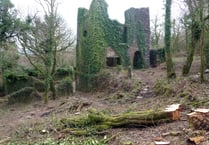 Mine project takes step forward in Tamar Valley