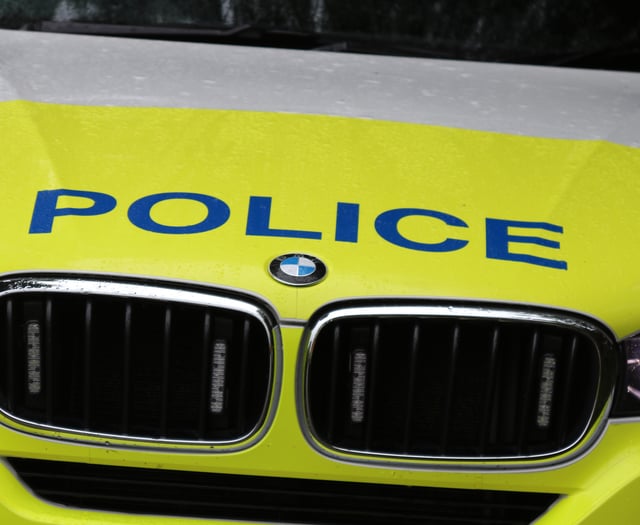 Woman (74) arrested after double fatal road accident in Plymouth
