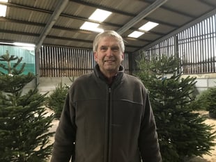 Christmas 'definitely not cancelled' on Tamar Valley Xmas tree farm