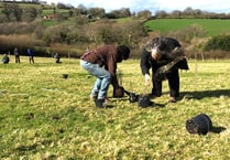 Countryside skills course launched on Dartmoor