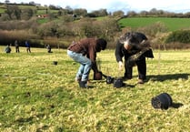 Countryside skills course launched on Dartmoor