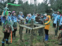 New Year wassailing event for Dartmoor Border Morris