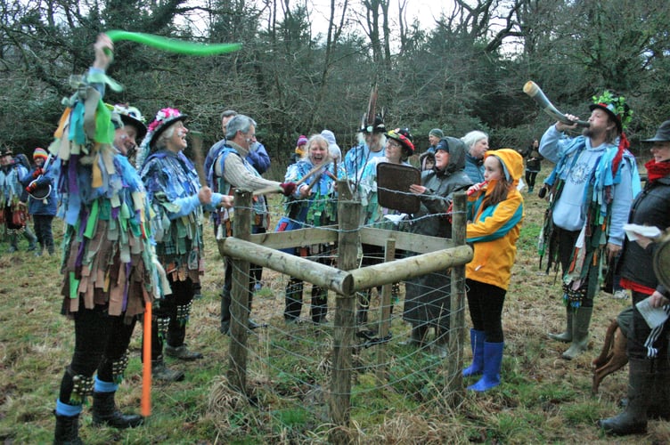 Cornwood Wassail 