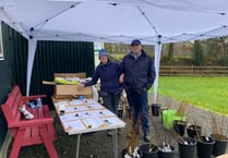 Trees given away in Brentor