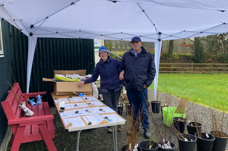 tree giveaway Brentor Village Hall Jan 14