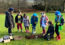 School children help to maintain graves as part of new initiative 