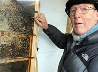Beekeeping vital for world health says keeper