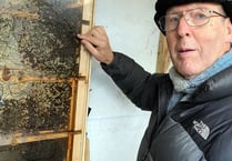 Beekeeping vital for world health says keeper