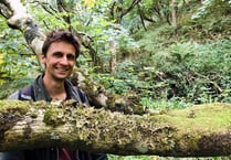 Writer to give talk in Calstock on restoring our ancient rainforests