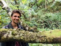 Writer to give talk in Calstock on restoring our ancient rainforests