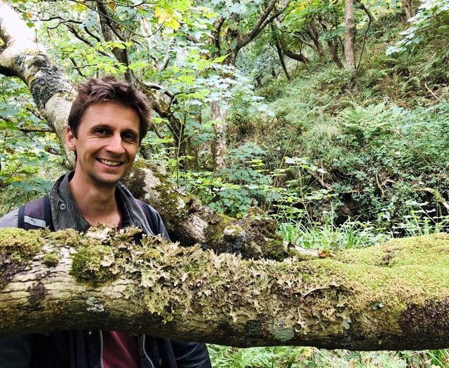 Writer to give talk in Calstock on restoring our ancient rainforests