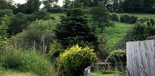 Green Hill housing once again sees opposition