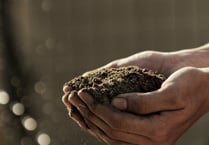 Free gardening course in Gunni