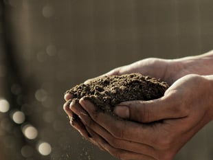 Free gardening course in Gunni