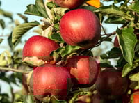 Apple pressing event on its way