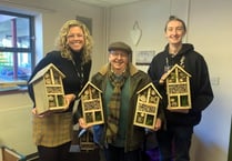 New bug hotels boost school’s eco drive