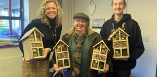 New bug hotels boost school’s eco drive
