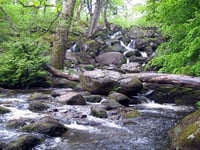 Dartmoor waterfall earns place in top UK waterfall walks list