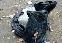 Weir Quay fly tipping
