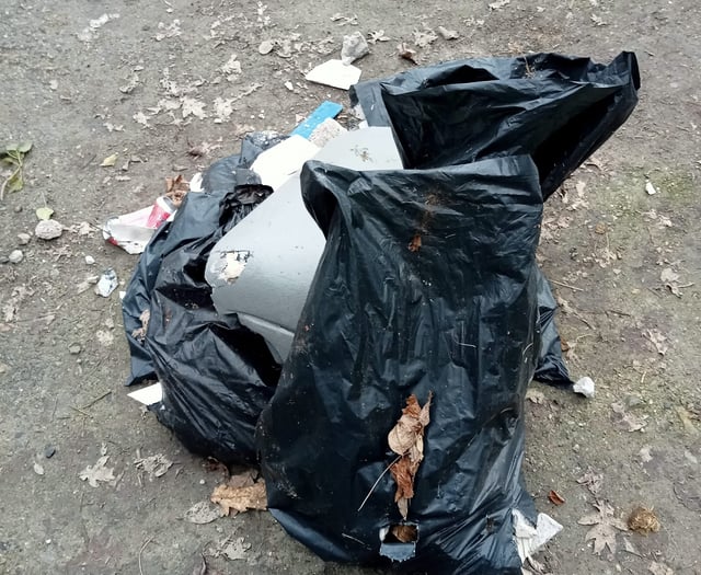 Weir Quay fly tipping
