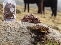 Flapjackery launches 'pony plops' in honour of the Dartmoor Pony