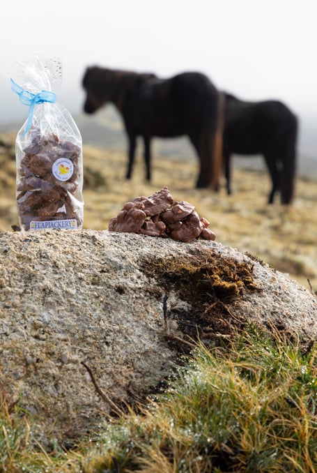 Pony plops ponies Dartmoor