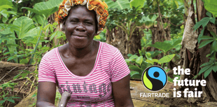 Tavistock Fairtrade Fortnight - get involved