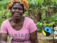 Tavistock Fairtrade Fortnight - get involved