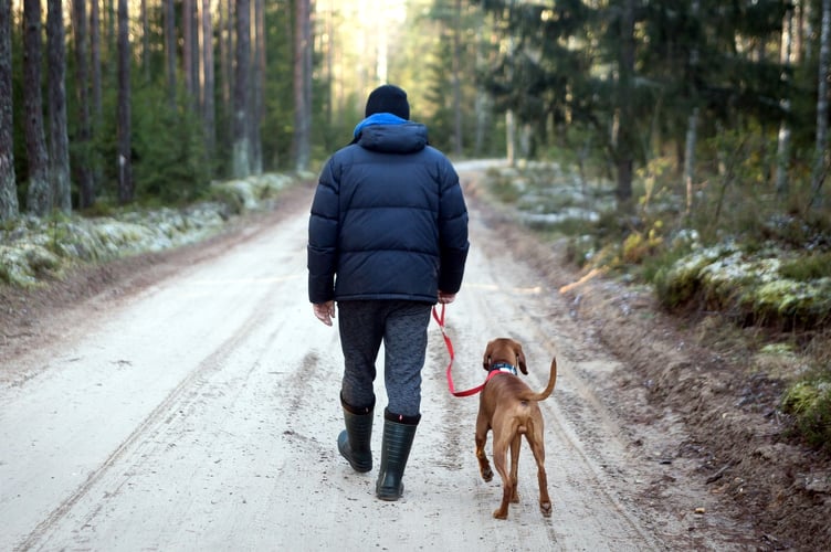 Dog walk