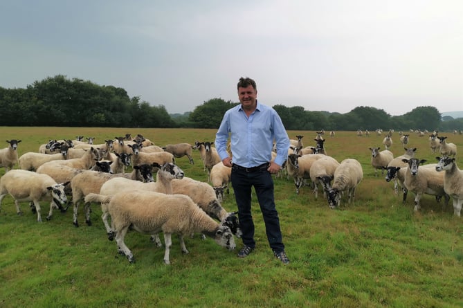 MP Mel Stride on Dartmoor farm
