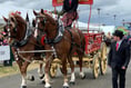 Heavy Horses Festival trots into its first Devon County Show
