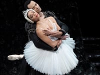 Standing ovation for emotional Swan Lake