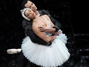 Standing ovation for emotional Swan Lake