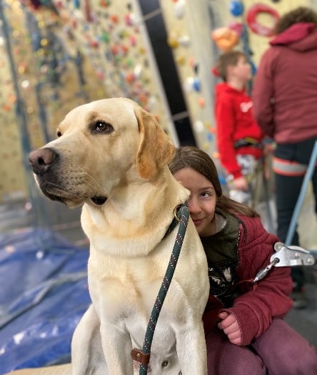 Simba goes up in the world and watches children conquer their fears