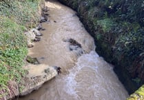 Outrage over polluting of village brook