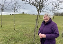 Moorland trees a ‘blot on the moor’ blocking views