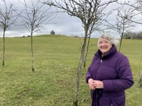 Moorland trees a ‘blot on the moor’ blocking views