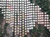Map to explore history of area through plants