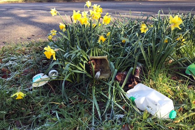 litter and daffodils