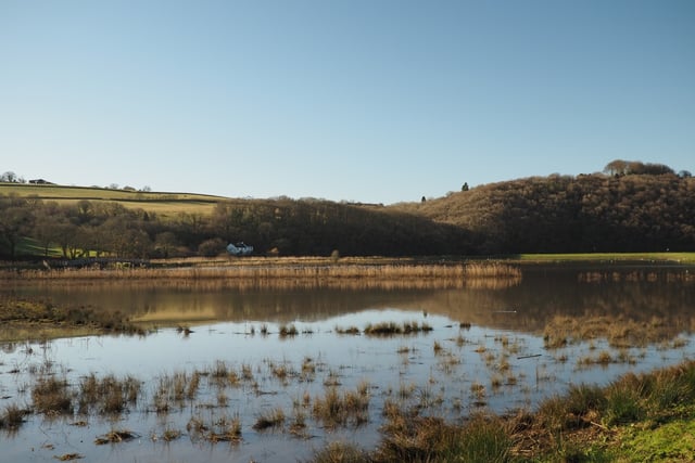 Calstock parish council set to investigate return of insect plague