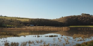 Calstock parish council set to investigate return of insect plague