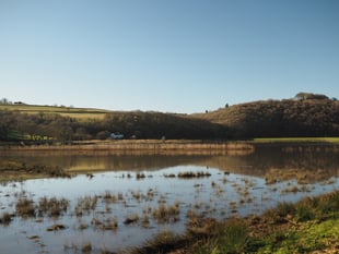 Calstock parish council set to investigate return of insect plague