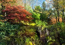 Garden reopens next week