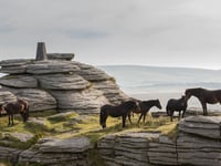 New parking charges hit Dartmoor