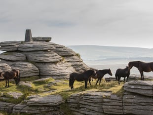 New parking charges hit Dartmoor