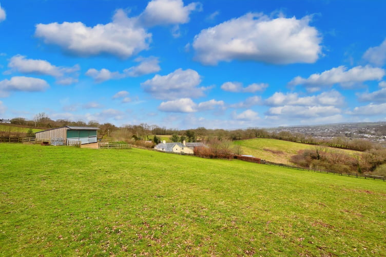 woodtown farm