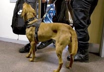 Drugs dog visits college