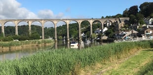 Calstock Parish Council seeking new blood