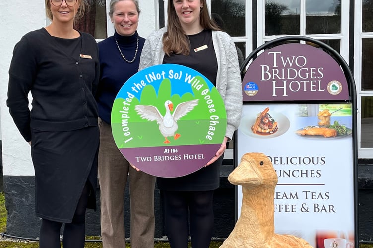 Two Bridges Hotel Not So Wild Goose Chase